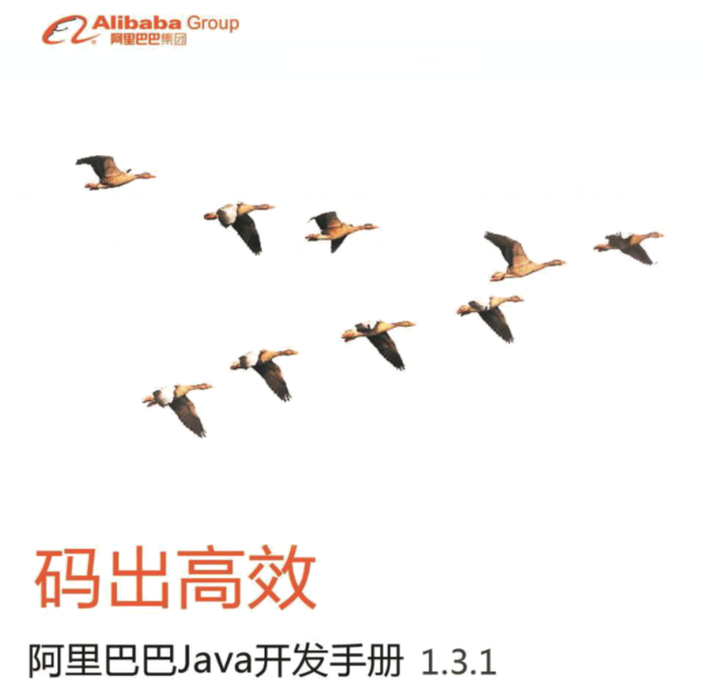 阿里巴巴 Java 开发手册v1.3.1